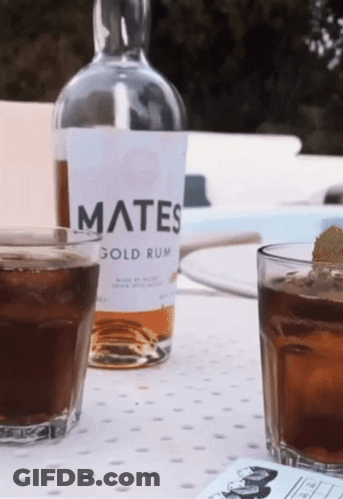 Mates Gold Rum Dice Game GIF