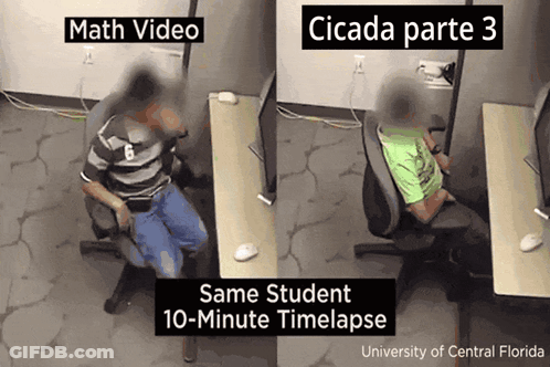 Math Video Cicada Part 3 Time Lapse GIF