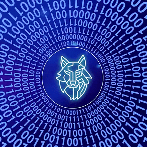 Matrix Code Crypto Fintech Wolf GIF