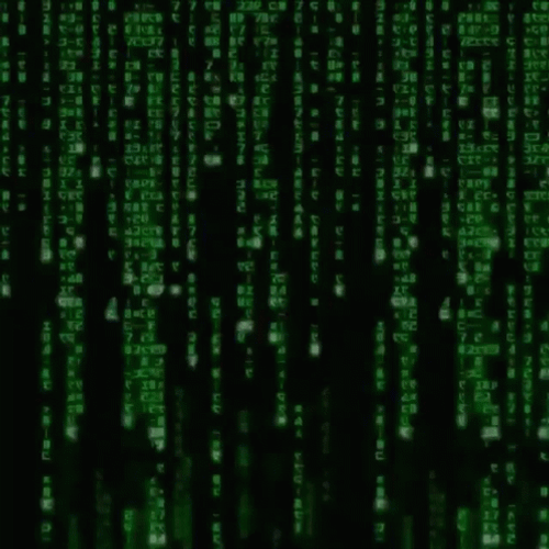 Matrix Code India Phyton GIF