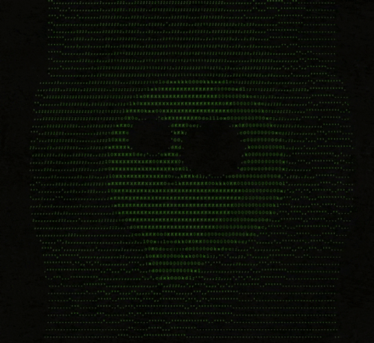 Matrix Code Internet Skeletal Virus GIF