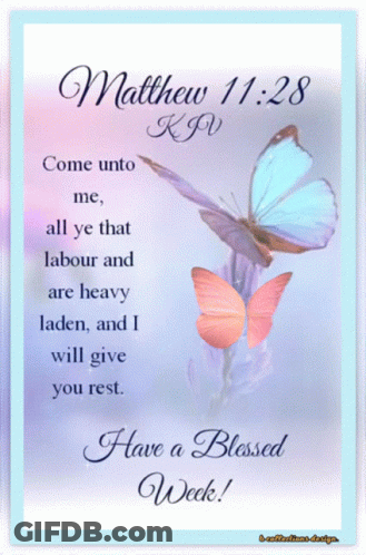 Matthew 11:28 Bible Verse With Butterflies GIF