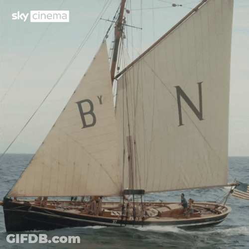 Matthew Daddario Sailing Boat GIF