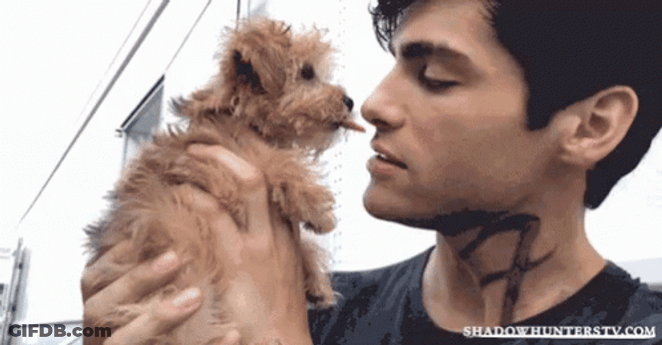 Matthew Daddario With Dog GIF