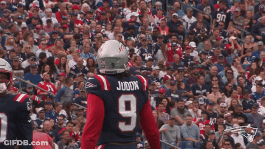 Matthew Judon Asking For Cheer GIF