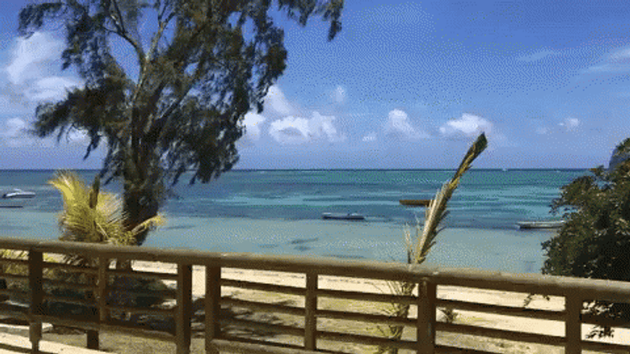 Mauritius Island Summer Beach GIF