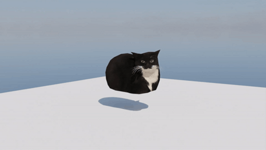 Maxwell Cat Meme Burrow And Pop Up GIF
