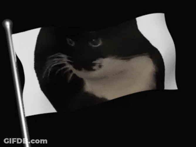 Maxwell Cat Meme Cat Flag GIF