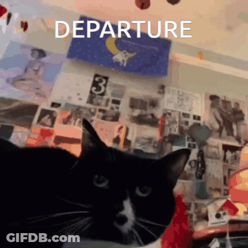Maxwell Cat Meme Departure GIF