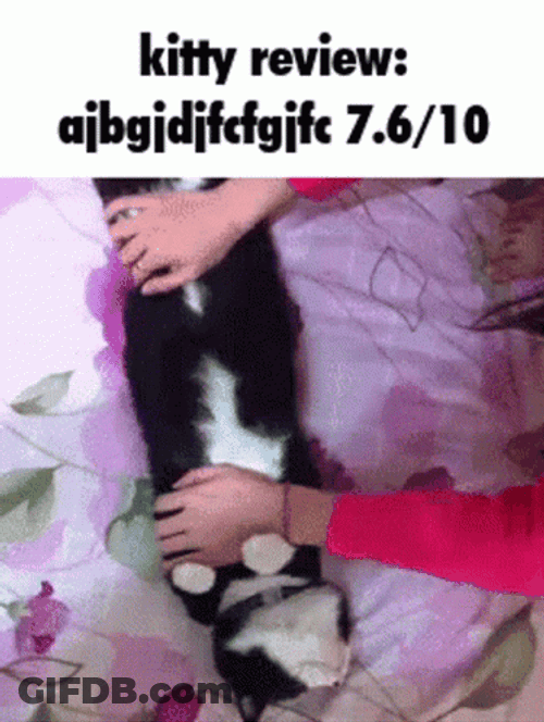 Maxwell Cat Meme Hand Roll GIF