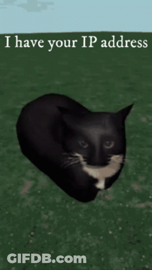 Maxwell Cat Meme I Have Your Ip Address GIF