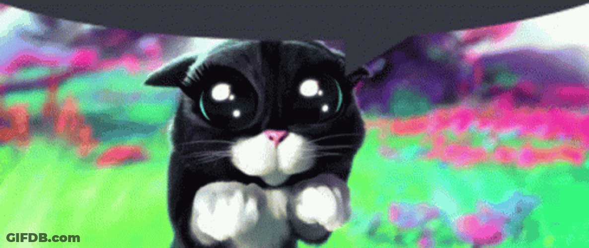 Maxwell Cat Meme Innocent Eyes GIF