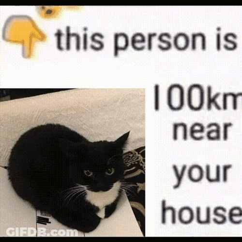 Maxwell Cat Meme Picture GIF