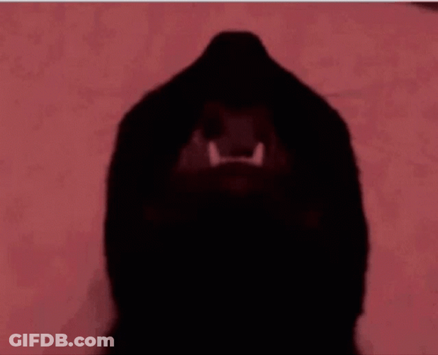 Maxwell Cat Meme Red Light GIF
