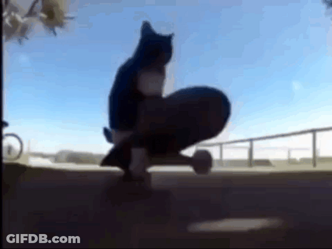 Maxwell Cat Meme Skating GIF