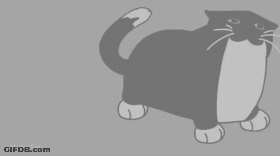 Maxwell Cat Meme Tail Wag GIF