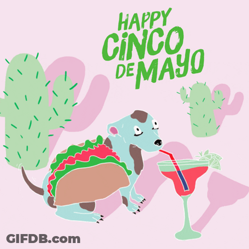 May 5Th Cinco De Mayo GIF