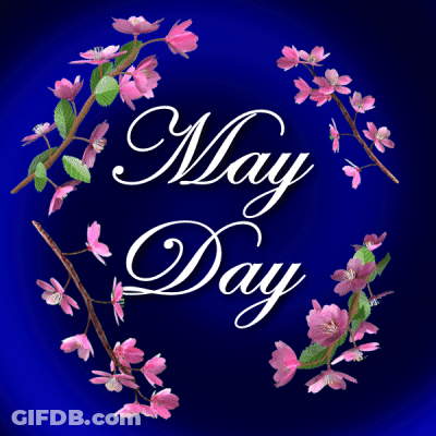 May Day Pink Flower Background GIF