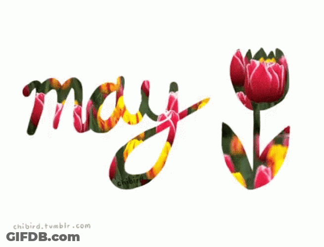 May Flowers Animation GIF