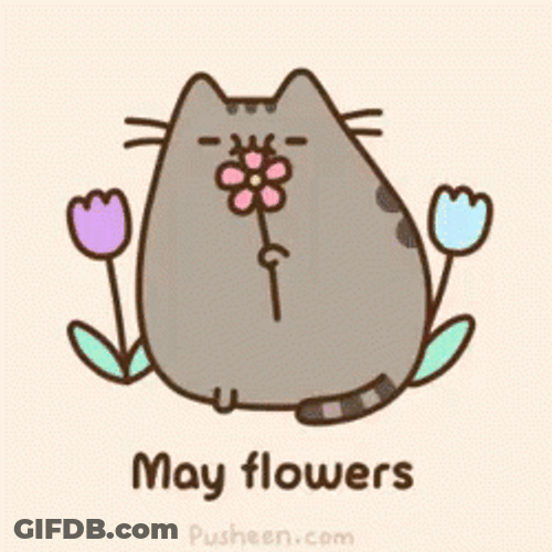 May Flowers Cute Pusheen Cat GIF