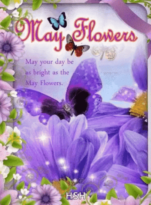 May Flowers Purple Butterfly GIF