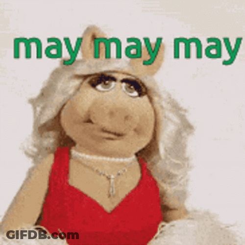 May May May Pig Puppet GIF