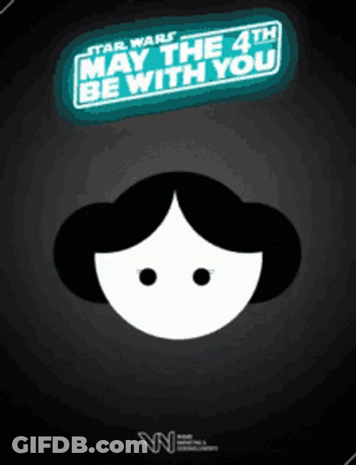 May The 4Th Be With You BB-8 Darth Vader GIF