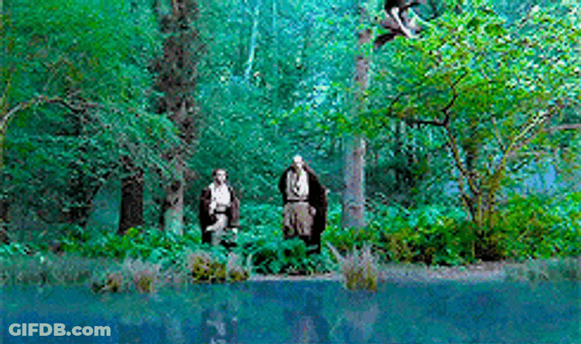 May The Force Be With You Kenobi And Jinn GIF