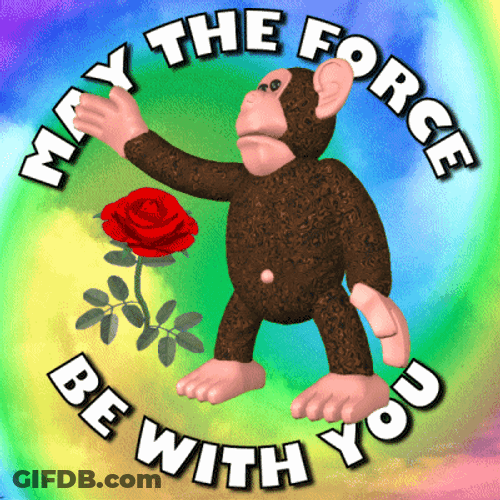 May The Force Be With You Monkey Animation GIF