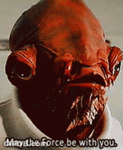 May The Force Be With You Starwars Akbar GIF