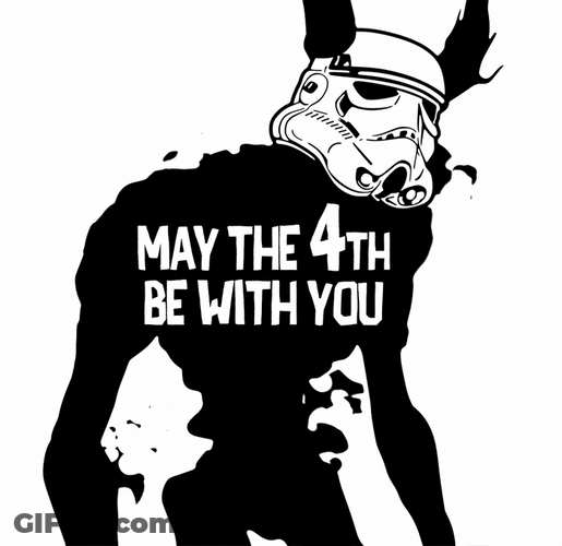 May The Fourth Be With You Star Wars GIF