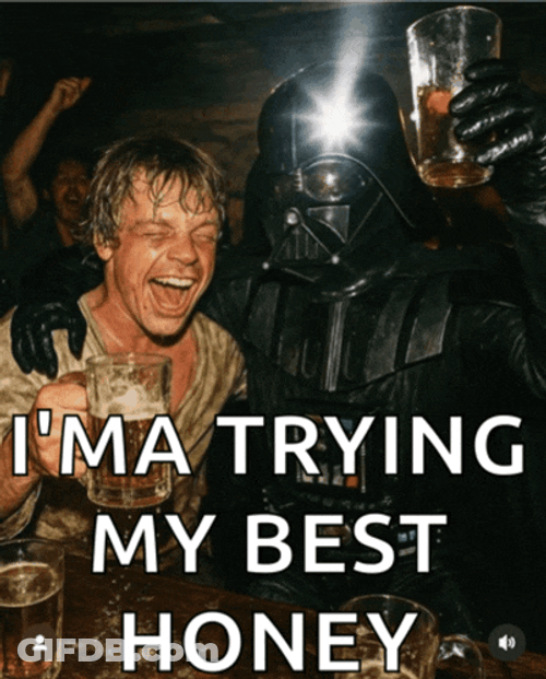 May The Fourth May The Force Be With You Meme GIF