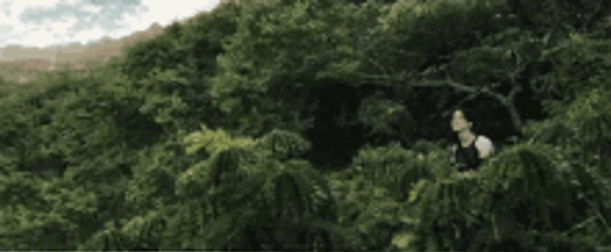 May The Odds Be Ever In Your Favor Aim Sky Arrow GIF