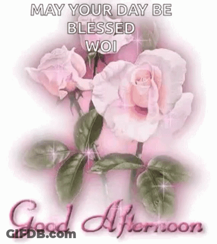 May Your Day Be Blessed Woi Good Afternoon With Pink Roses . GIF