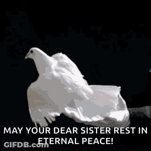 May Your Dear Sister Rest In Eternal Peace GIF