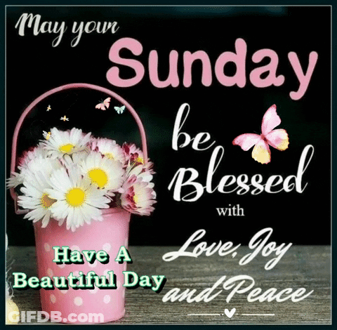 May Your Sunday Be Blessed GIF