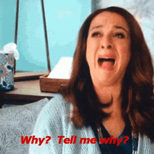 Maya Rudolph Crying And Asking Whyyy GIF