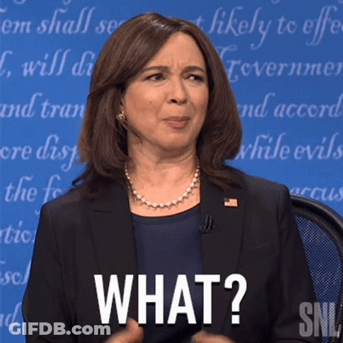 Maya Rudolph Say What GIF