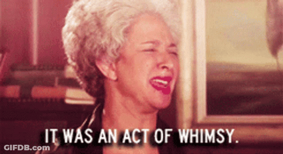 Maya Rudolph Says It Was An Act Of Whimsy GIF