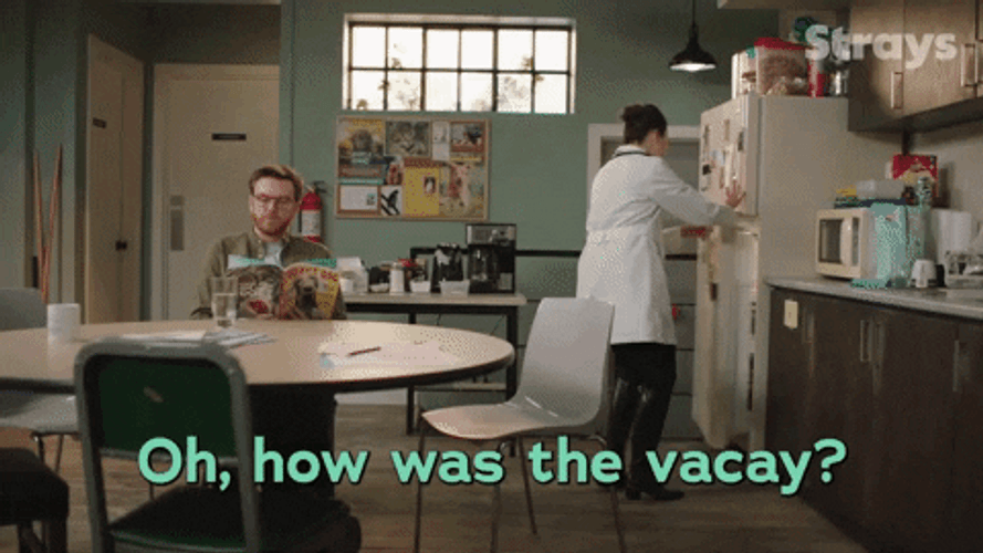 Maybe Not Tina Jung Strays Sitcom GIF