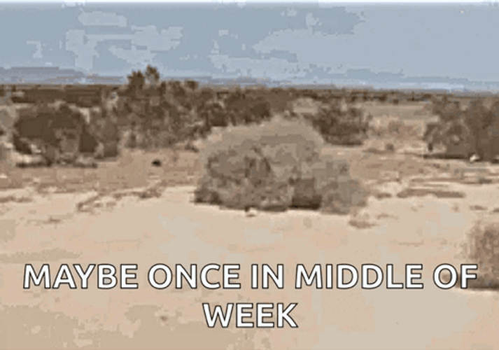 Maybe Once In Middle Of Week Dry Heat GIF