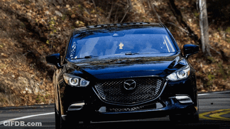 Mazda Dog Car GIF