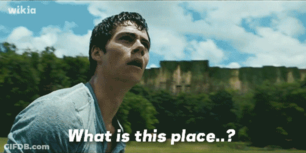 Maze Runner Dylan O'Brien GIF