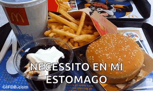 McDonald's Tray With Hamburger And French Fries GIF