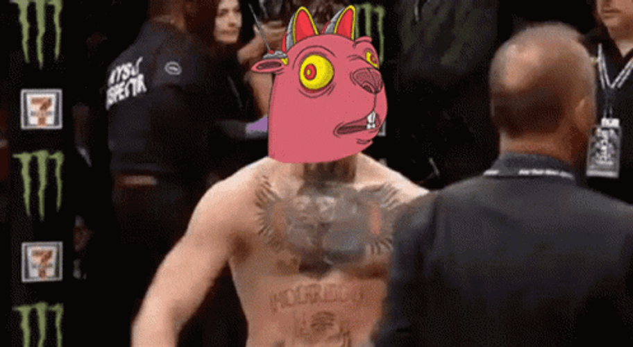 Mcgregor Walk Solderland Beavers Reface GIF
