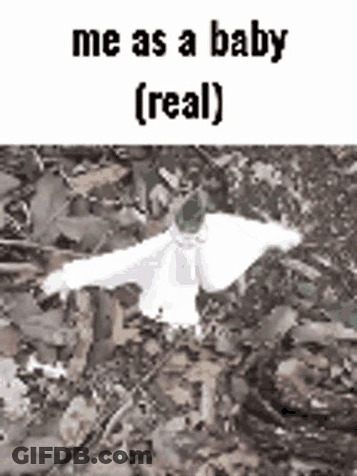 Me As A Baby Me GIF