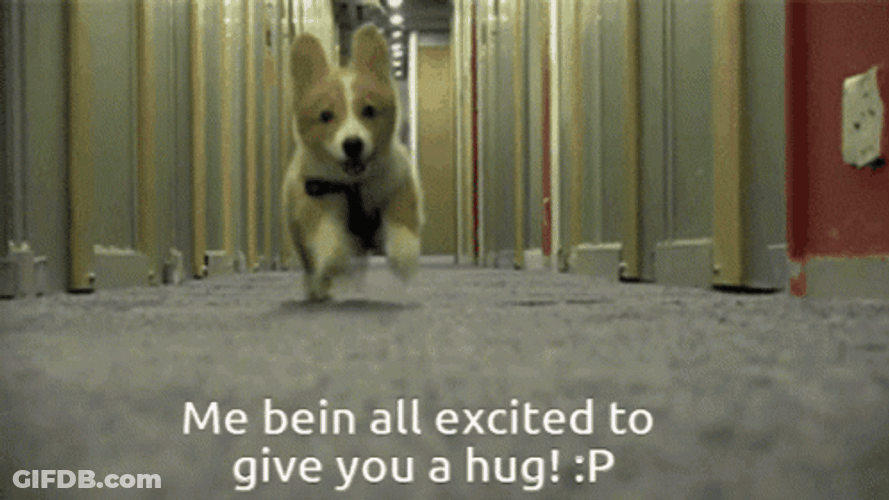 Me Being All Excites To Give You Hug GIF