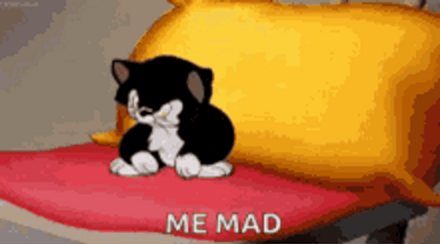 Me Mad Cute Cat GIF