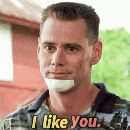 Me Myself And Irene I Like You GIF