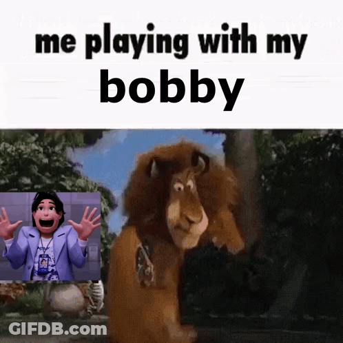Me Playing With My Bobby Lion GIF